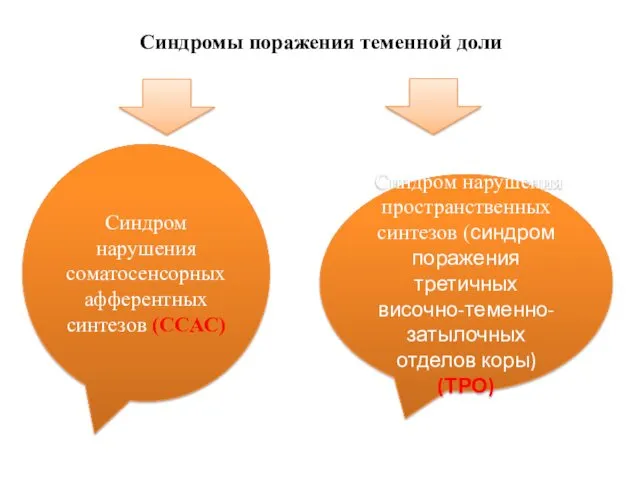 Синдромы поражения теменной доли Синдром нарушения соматосенсорных афферентных синтезов (ССАС)