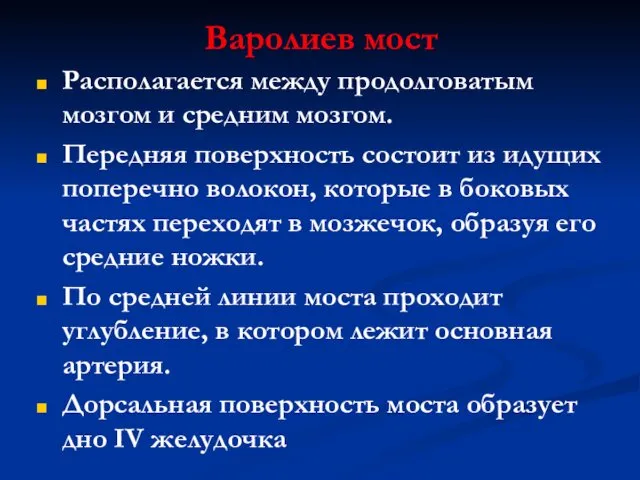 Варолиев мост Располагается между продолговатым мозгом и средним мозгом. Передняя