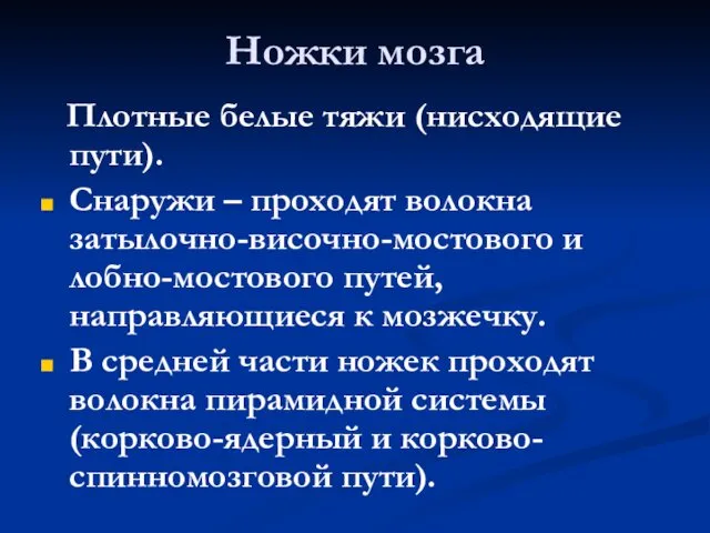 Ножки мозга Плотные белые тяжи (нисходящие пути). Снаружи – проходят