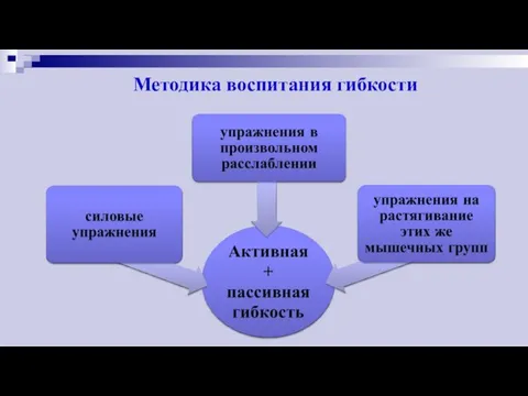 Методика воспитания гибкости