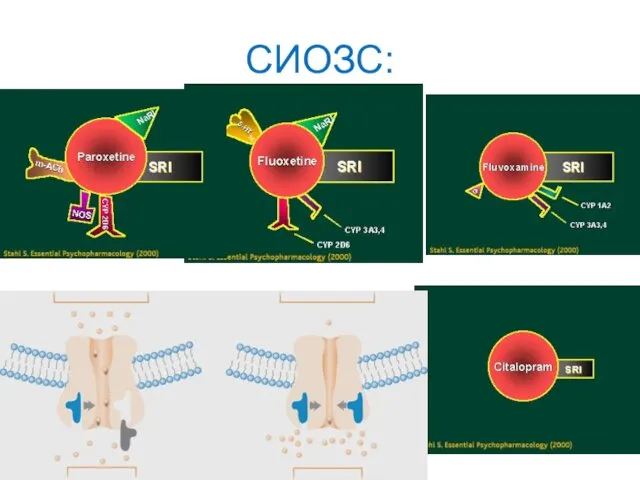 СИОЗС: