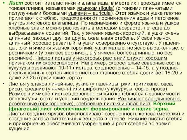 Лист состоит из пластинки и влагалища, в месте их перехода имеется тонкая пленка,