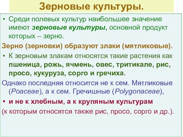 Зерновые культуры. Среди полевых культур наибольшее значение имеют зерновые культуры, основной продукт которых