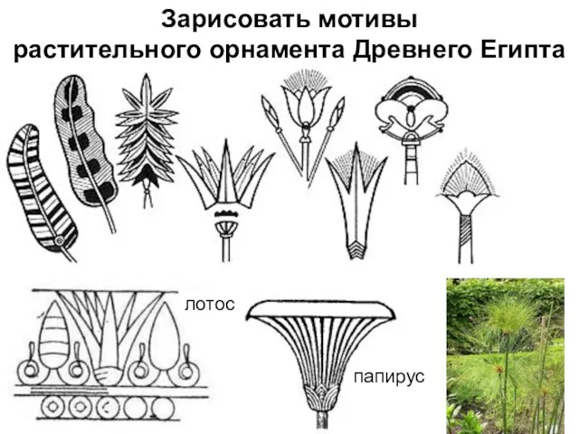 Зарисовать мотивы растительного орнамента Древнего Египта в Древнем Египте папирус лотос