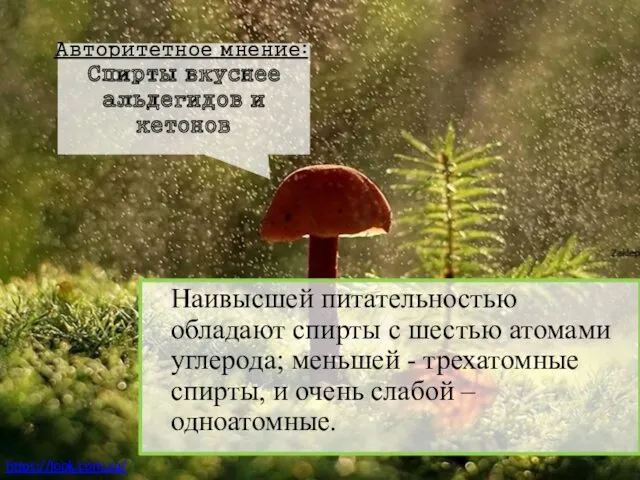 Наивысшей питательностью обладают спирты с шестью атомами углерода; меньшей -