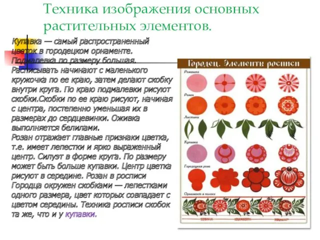 Техника изображения основных растительных элементов. Купавка — самый распространенный цветок