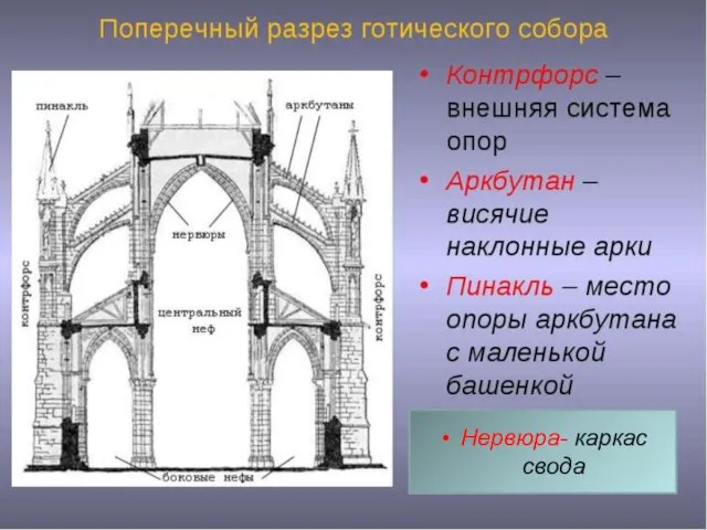 Нервюра- каркас свода