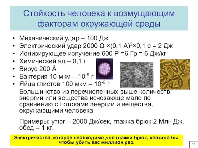 Стойкость человека к возмущающим факторам окружающей среды Механический удар –