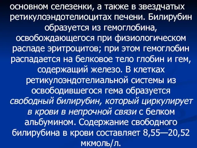 основном селезенки, а также в звездчатых ретикулоэндотелиоцитах печени. Билирубин образуется