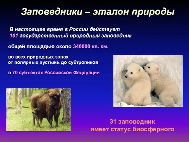 В настоящее время в России действует 101 государственный природный заповедник общей площадью около