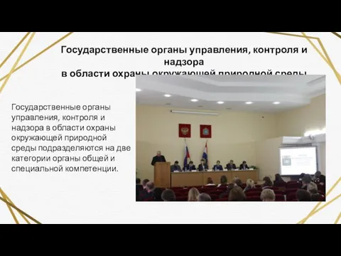 Государственные органы управления, контроля и надзора в области охраны окружающей