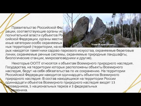 Правительство Российской Феде- рации, соответствующие органы ис- полнительной власти субъектов