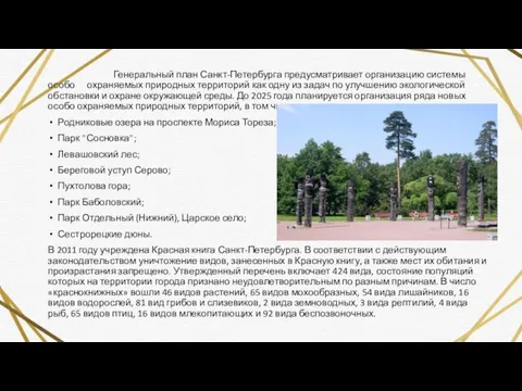 Генеральный план Санкт-Петербурга предусматривает организацию системы особо охраняемых природных территорий