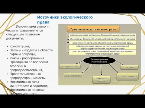 Источниками экологи-ческого права являются следующие правовые документы: Конституция; Законы и