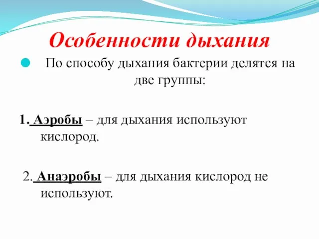 Особенности дыхания По способу дыхания бактерии делятся на две группы: