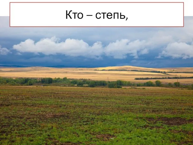 Кто – степь,