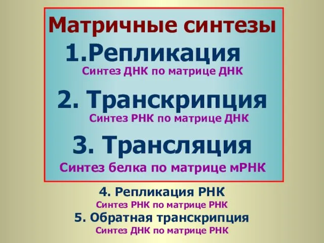 Репликация 2. Транскрипция 3. Трансляция Матричные синтезы Синтез ДНК по