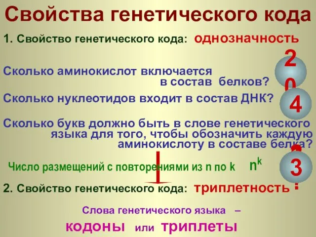 Сколько нуклеотидов входит в состав ДНК? 2. Свойство генетического кода: