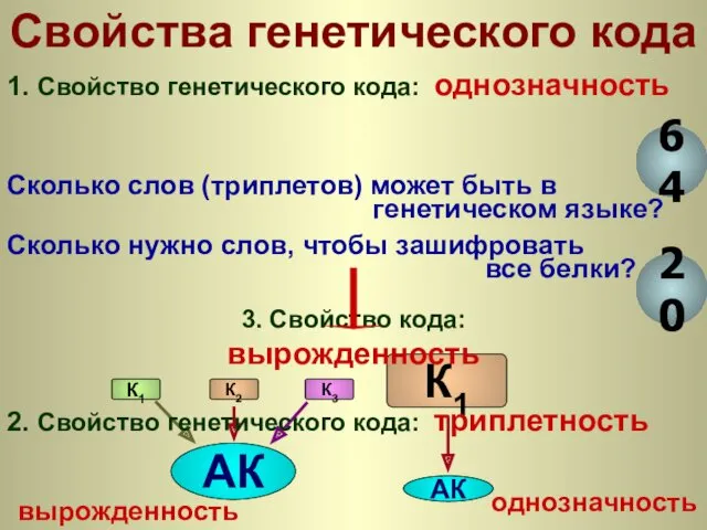 АК К1 К2 К3 АК К1 вырожденность однозначность 3. Свойство