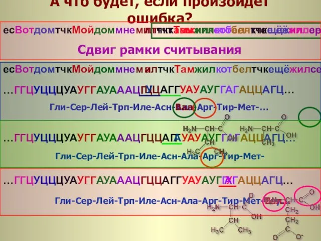 А что будет, если произойдет ошибка? а и Гли-Сер-Лей-Трп-Иле-Асн Ц