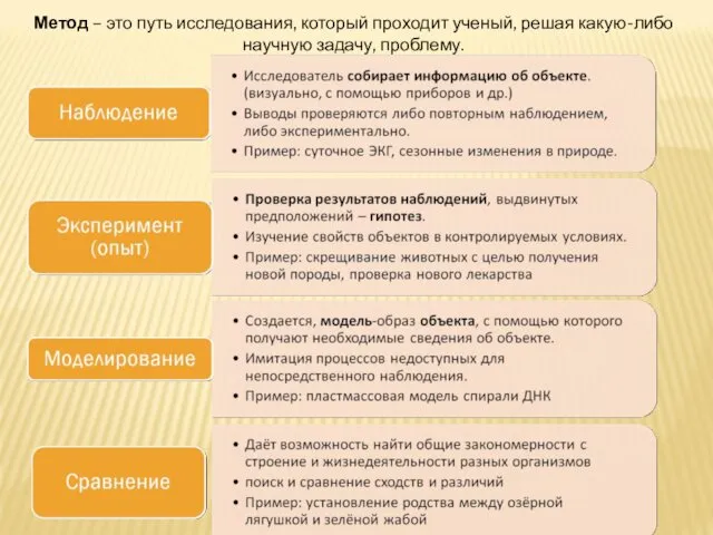 Метод – это путь исследования, который проходит ученый, решая какую-либо научную задачу, проблему.