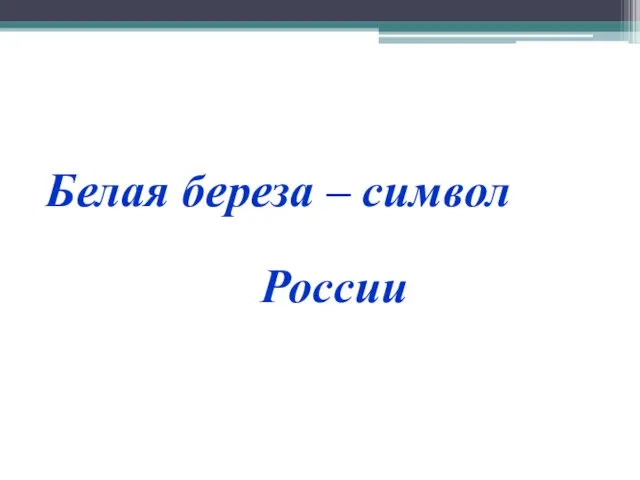 Белая береза – символ России