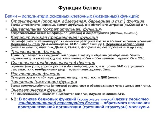 Функции белков Белки – исполнители основных клеточных (жизненных) функций: Структурная