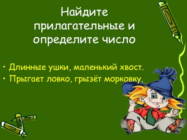 Найдите прилагательные и определите число Длинные ушки, маленький хвост. Прыгает ловко, грызёт морковку.