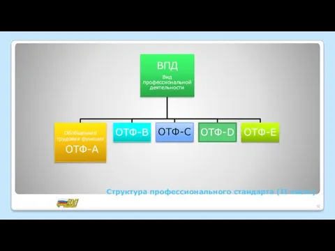 Структура профессионального стандарта (II часть)