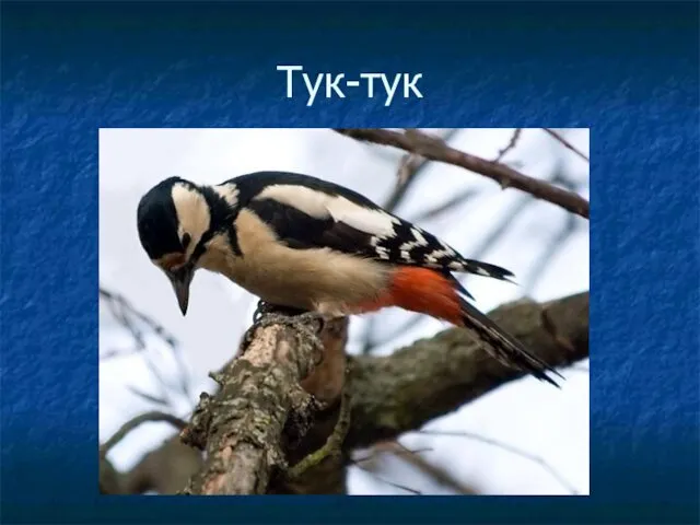 Тук-тук