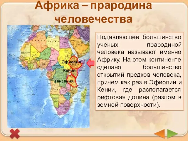 Эфиопия Кения Танзания Африка – прародина человечества Подавляющее большинство ученых