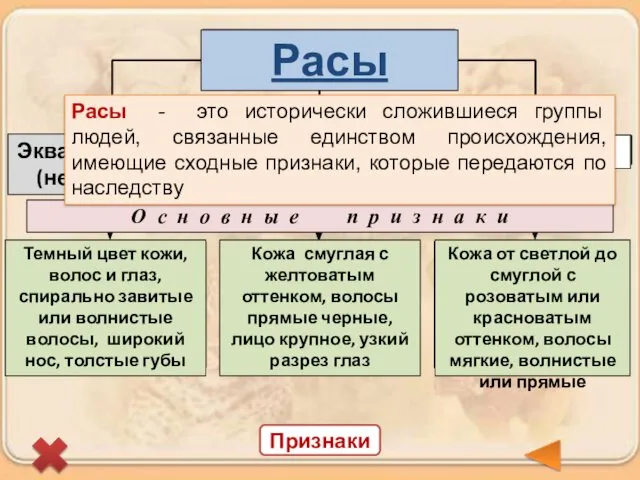 Признаки Расы - это исторически сложившиеся группы людей, связанные единством