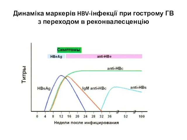 Динаміка маркерів HBV-інфекції при гострому ГВ з переходом в реконвалесценцію