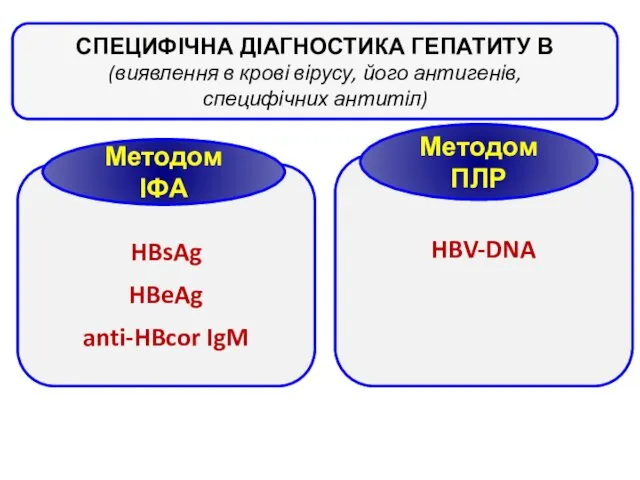 СПЕЦИФІЧНА ДІАГНОСТИКА ГЕПАТИТУ В (виявлення в крові вірусу, його антигенів,