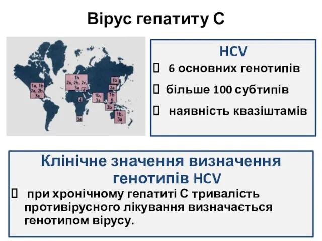 Вірус гепатиту С HCV 6 основних генотипів більше 100 субтипів