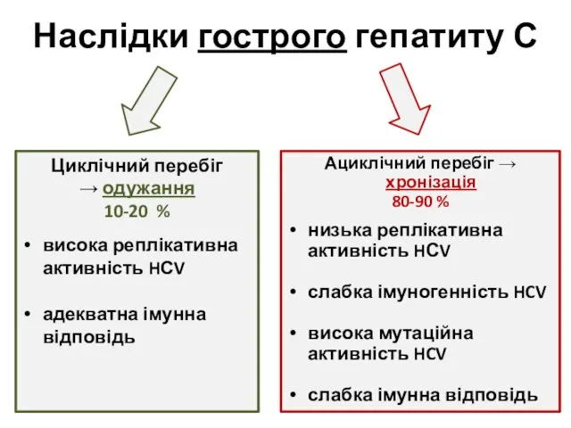 Наслідки гострого гепатиту С Циклічний перебіг → одужання 10-20 %