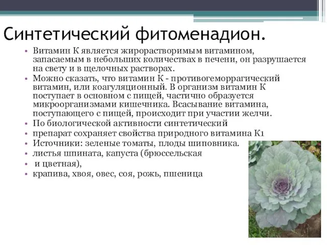 Синтетический фитоменадион. Витамин К является жирорастворимым витамином, запасаемым в небольших