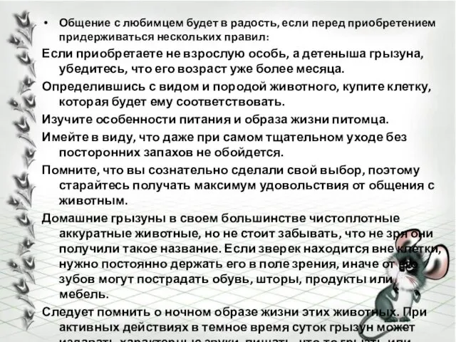 Общение с любимцем будет в радость, если перед приобретением придерживаться нескольких правил: Если