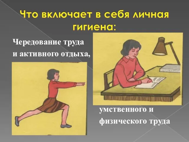 Чередование труда и активного отдыха, умственного и физического труда