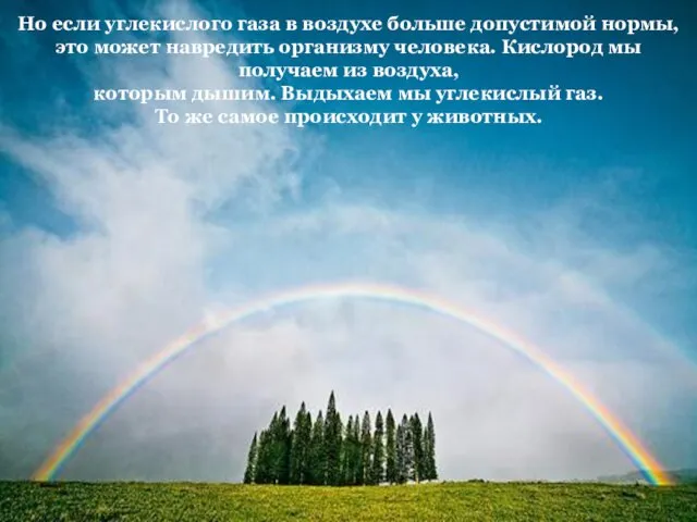 Но если углекислого газа в воздухе больше допустимой нормы, это