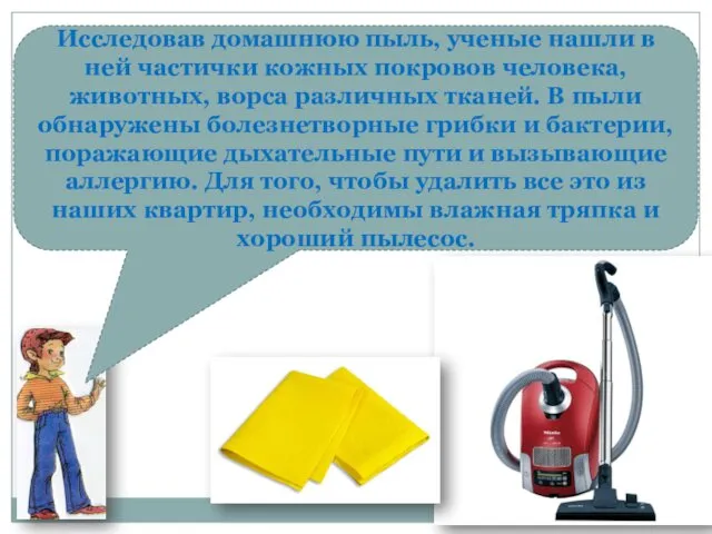 Исследовав домашнюю пыль, ученые нашли в ней частички кожных покровов