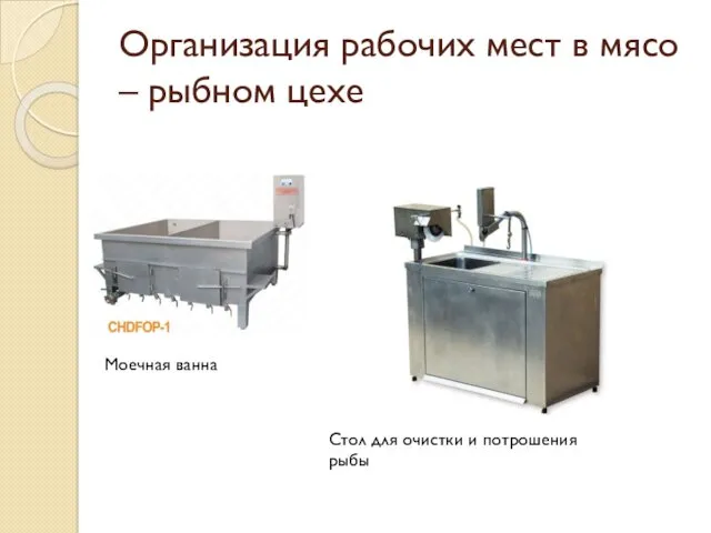 Организация рабочих мест в мясо – рыбном цехе Моечная ванна Стол для очистки и потрошения рыбы