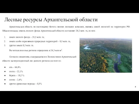 Лесные ресурсы Архангельской области Архангельская область по-настоящему богата своими лесными