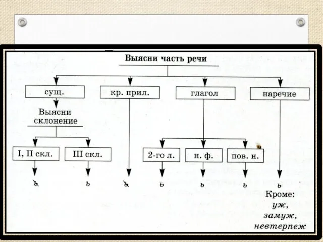 Рассуждаем…