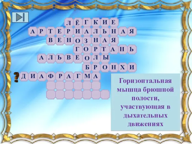 Горизонтальная мышца брюшной полости, участвующая в дыхательных движениях Л К