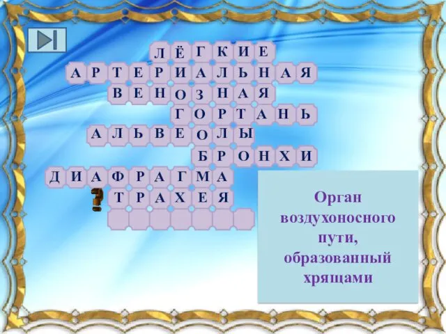 Орган воздухоносного пути, образованный хрящами Л К Ё Г И