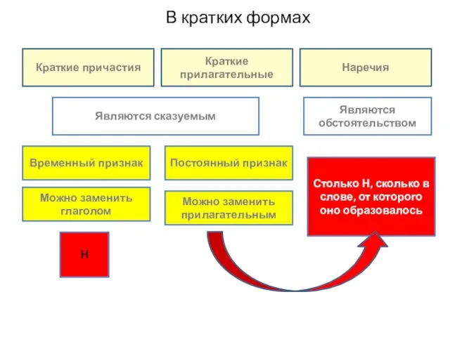 В кратких формах Краткие причастия Краткие прилагательные Наречия Являются сказуемым