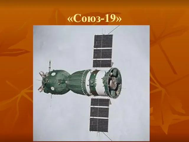 «Союз-19»