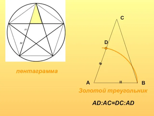 пентаграмма Золотой треугольник D = = А В С AD:AC=DC:AD