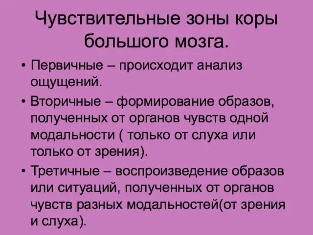 Чувствительные зоны коры большого мозга. Первичные – происходит анализ ощущений.